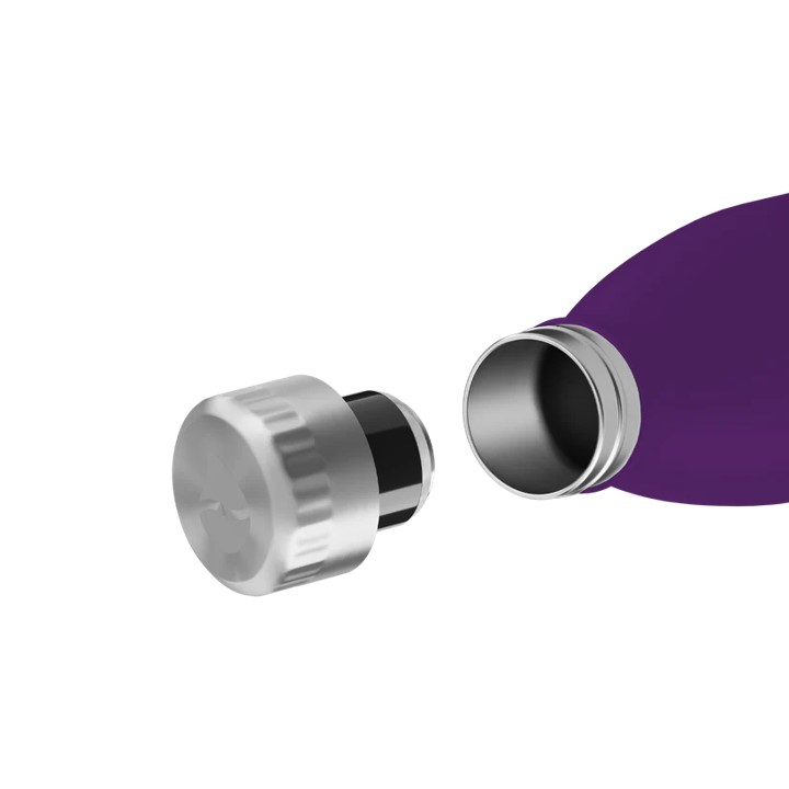 FLSK Trinkflasche nordic plum