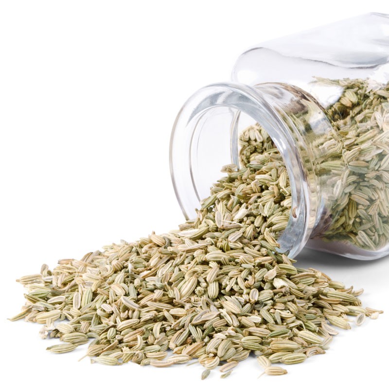 Fenchel
