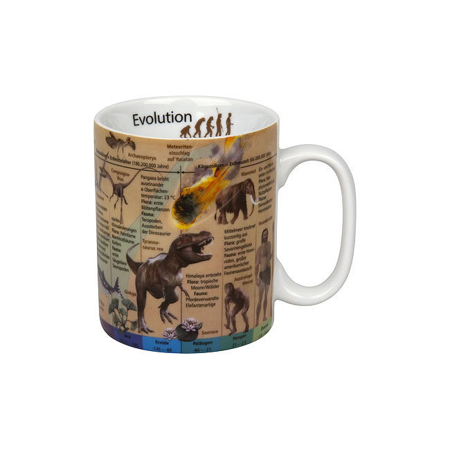 Wissensbecher | Evolution