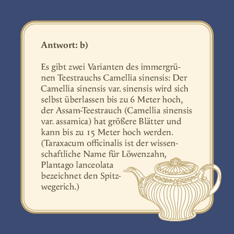 Das Tee-Quiz