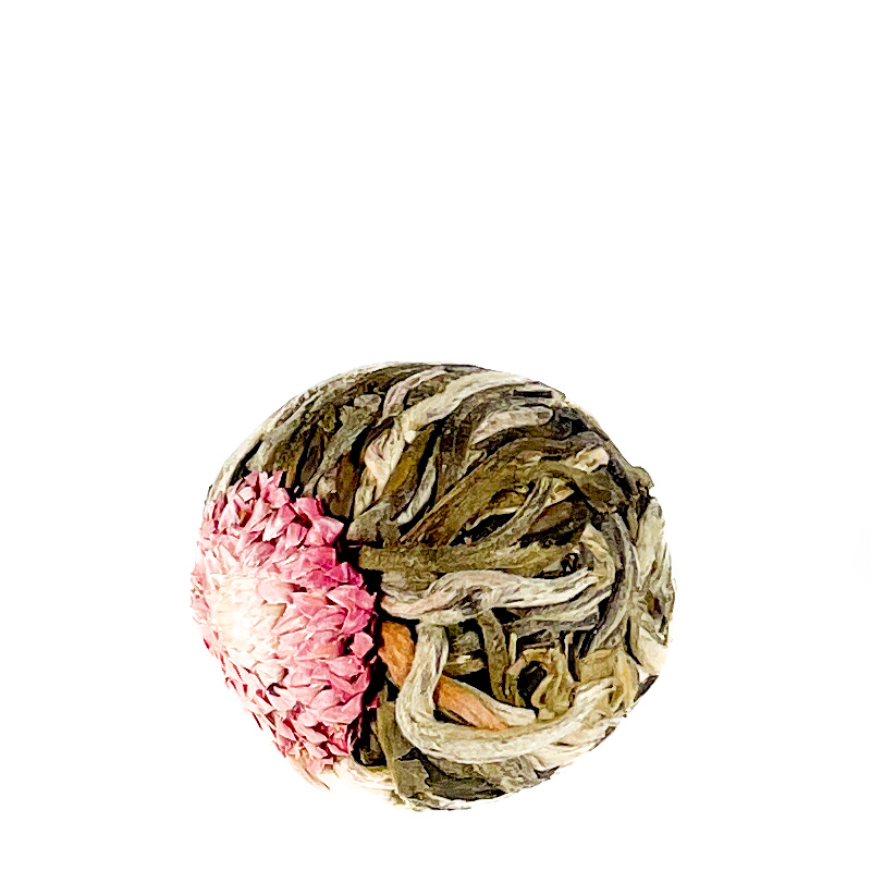 China Teerose Jasmin Red Peach