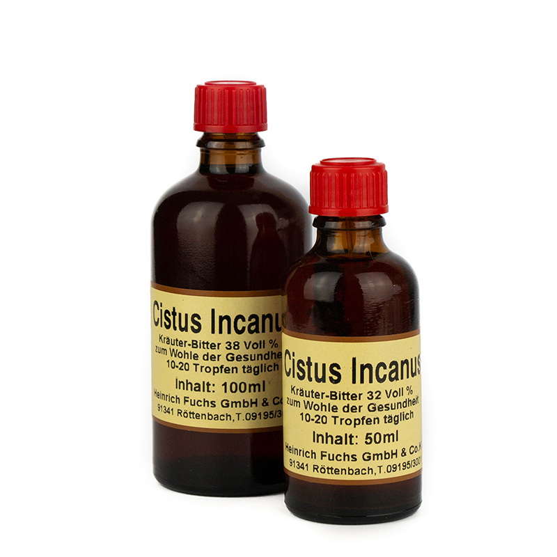 Cistus Incanus