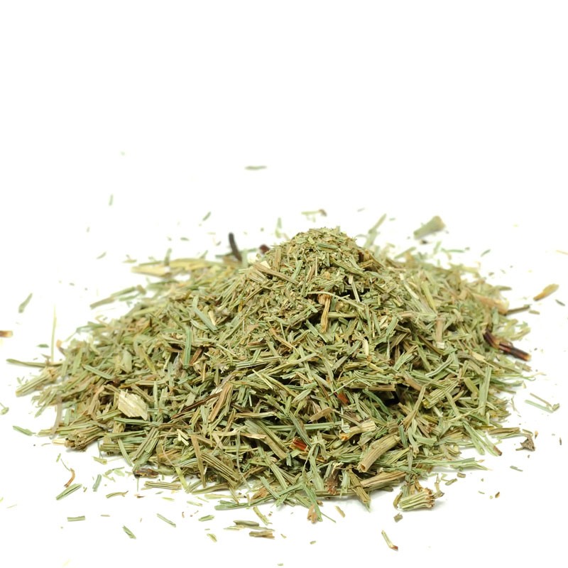 Schachtelhalmkraut (Zinnkraut)