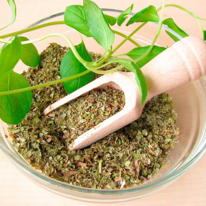 Oregano