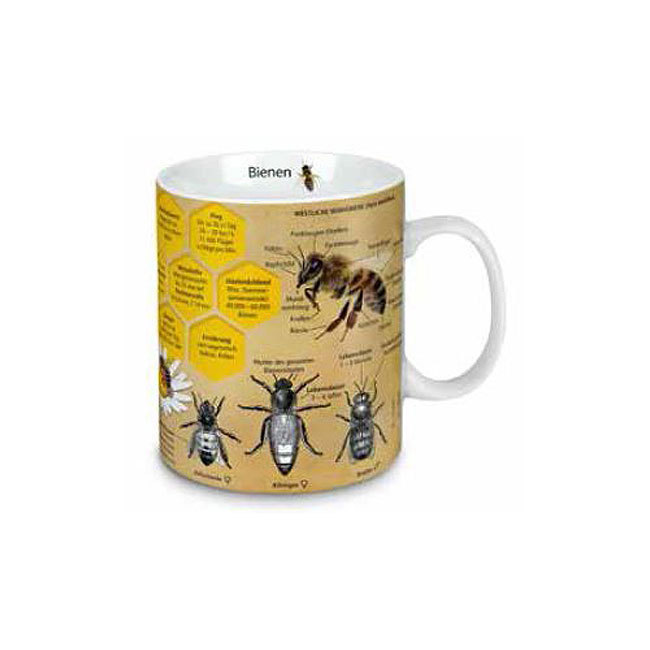 Wissensbecher | Bienen