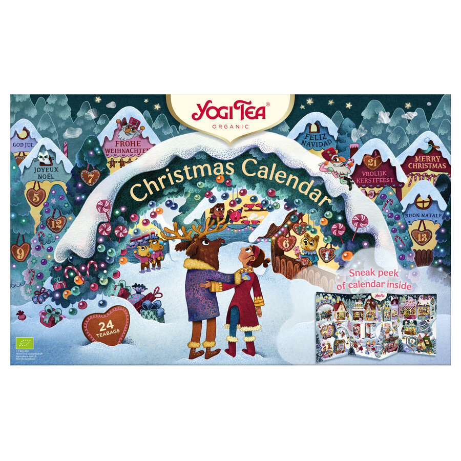 BIO Christmas Calendar Tee 2025