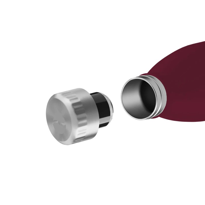 FLSK Trinkflasche winterberry
